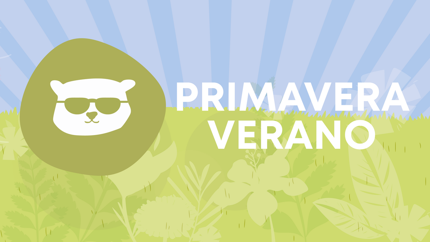 PRIMAVERA VERANO