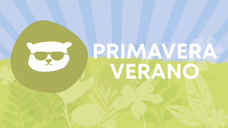 PRIMAVERA VERANO